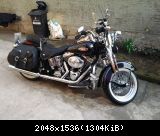 Harley Davidson FXST Softail Heritage Springer