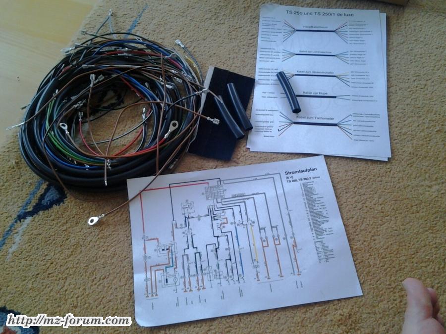 Kabelbaum Neu TS250\1