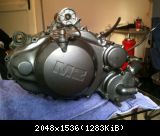 IMG 0697