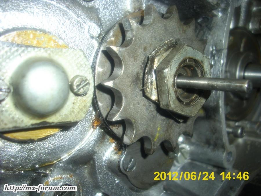 DSCI0032