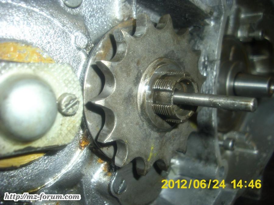 DSCI0033