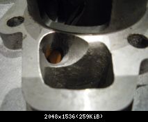 IMGP0044