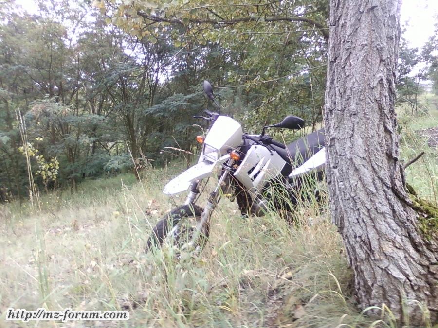 MZ_SM_125_im_Wald_2