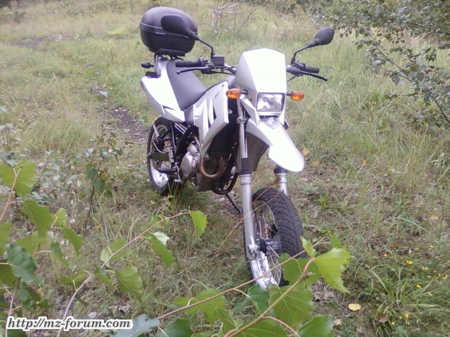 MZ_SM_125_im_Wald_3