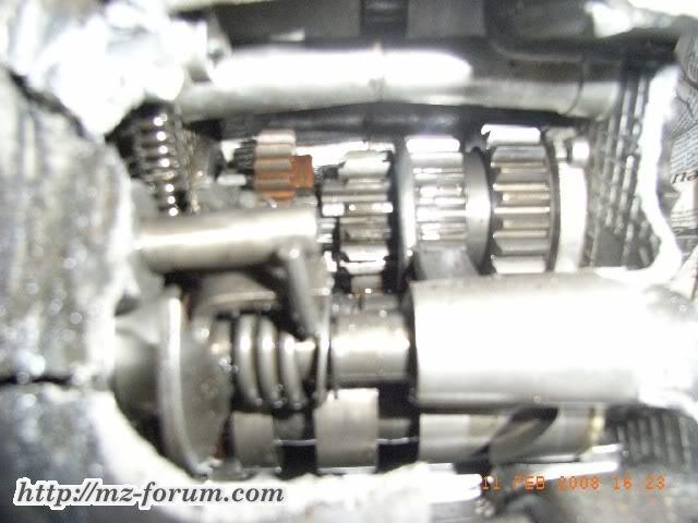 RIMG0898