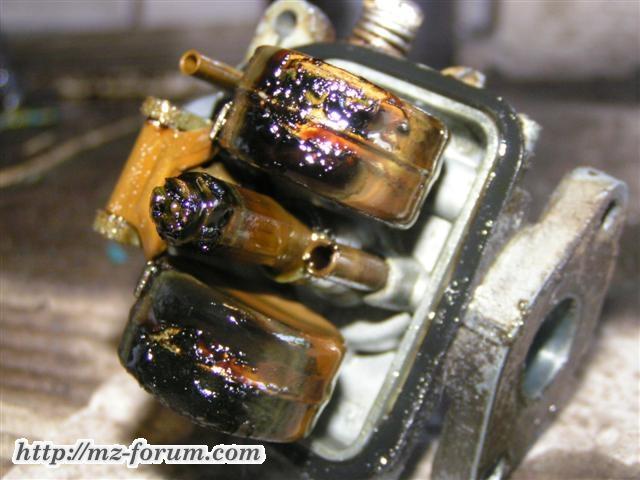 nfgnbvb (Small)