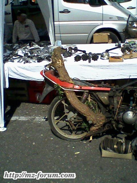 Foto-0202