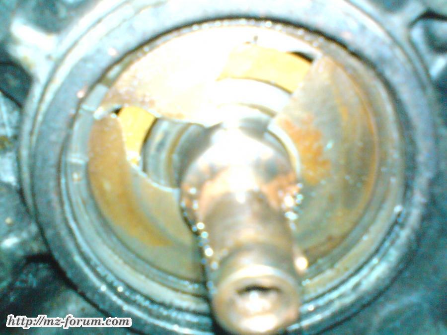 DSC02619