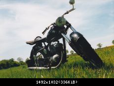 IMG 0003