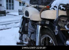 IMG 0255