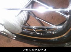 IMAG0111