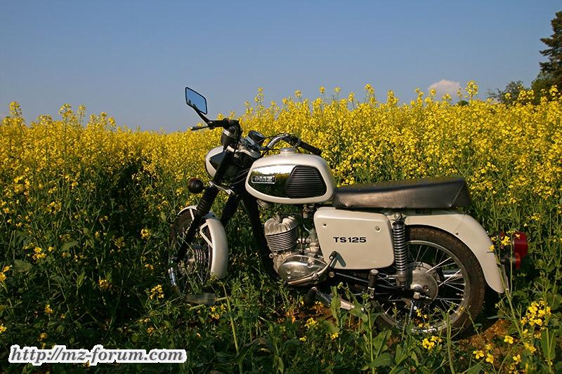MZ TS 125 - 14
