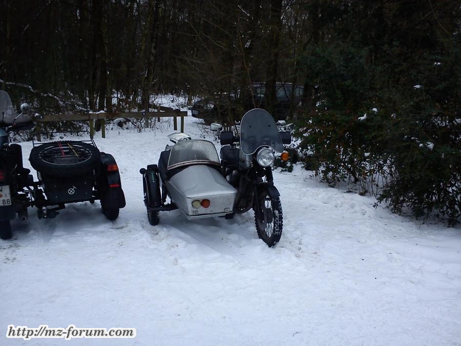 Emme im Schnee