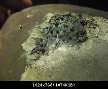 12 IMG 5553