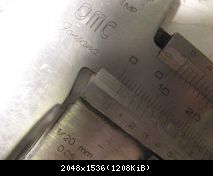 IMG 5597