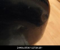 IMG 5630