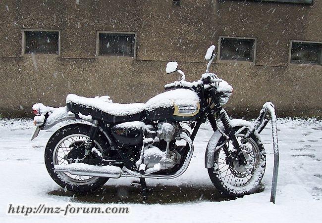 im Schnee