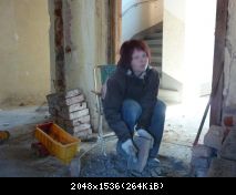 P036