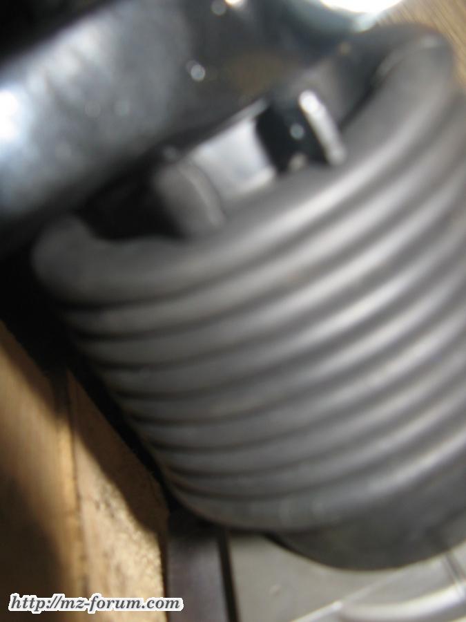 IMG 5776