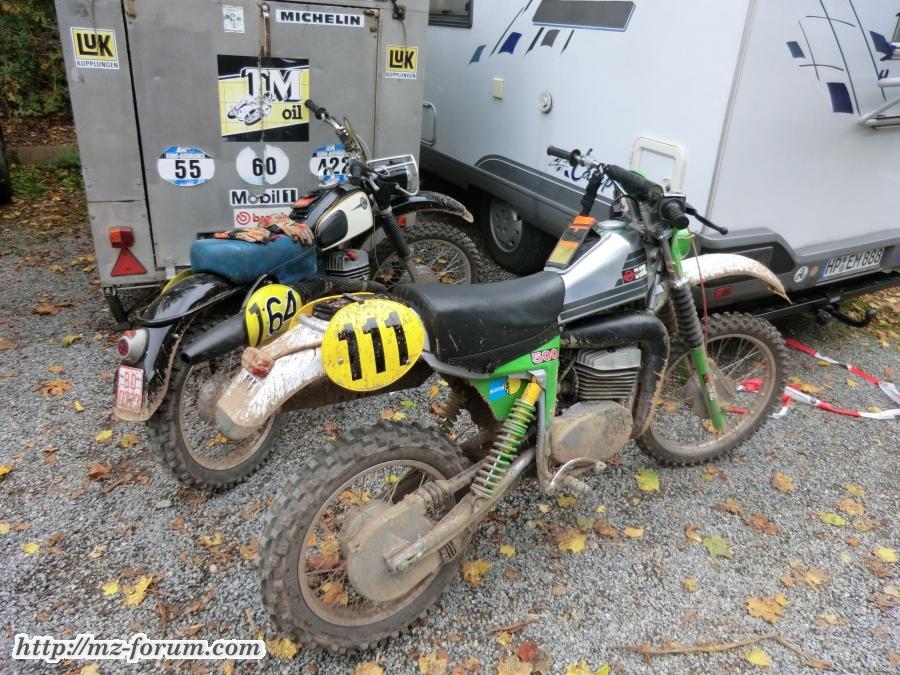 Schimmeldewog 2012