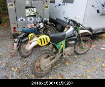 Schimmeldewog 2012