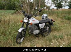 ETZ 250 Bj. '87 im Gras