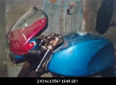 IMAG5064-1-1