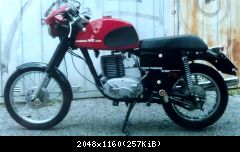 IMAG5069-2-1-1-1