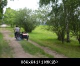 aklDSCI0208