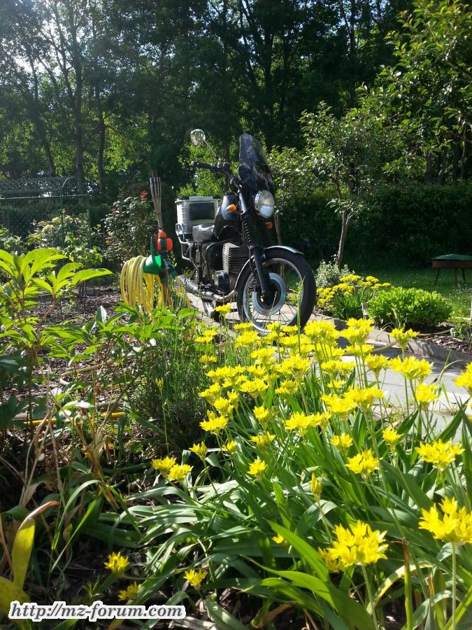 Im eigenen Garten stehen doch die schönsten Blumen.