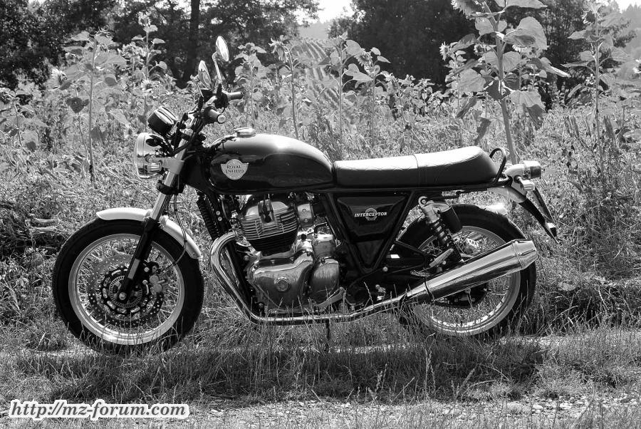 Enfield Interceptor
