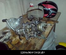 DSC01684