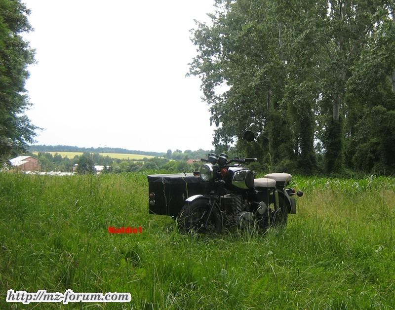 TS im grünen