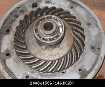 IMG 0248