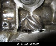 IMG 0250