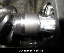 IMG 0256