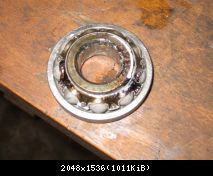 IMG 0258
