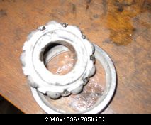 IMG 0259