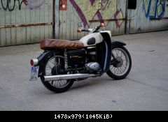 DSC 0061a