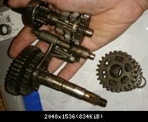 DSC 0019