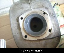 DSCI0135