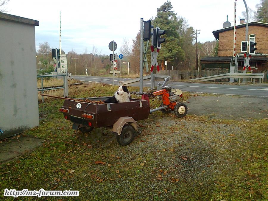 Foto0209