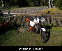 ALIM0385