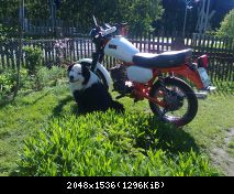 Foto0289