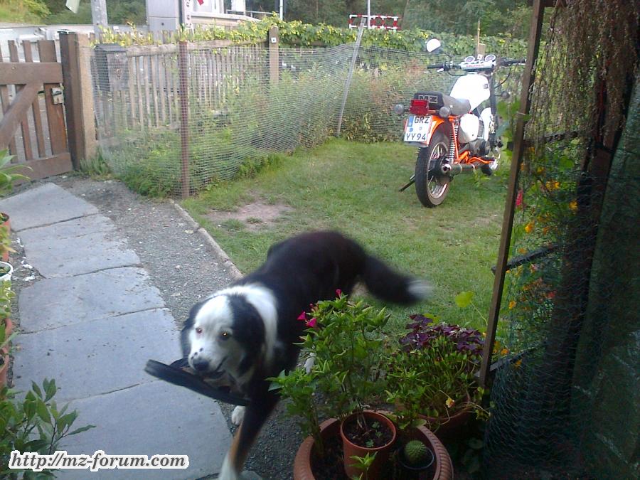 Foto0307