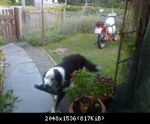 Foto0307