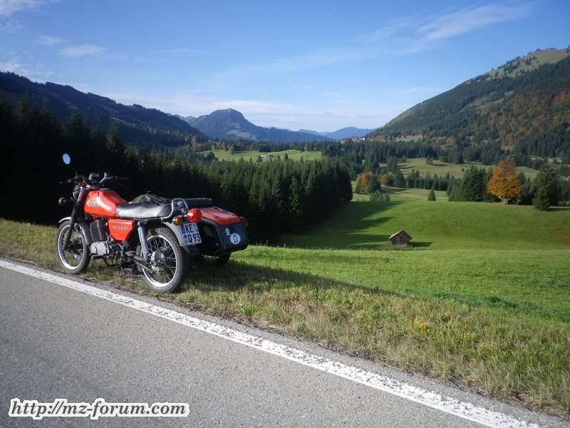 Sommergespann (verkauft)