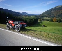 Sommergespann (verkauft)