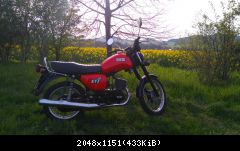 Rapsbilder