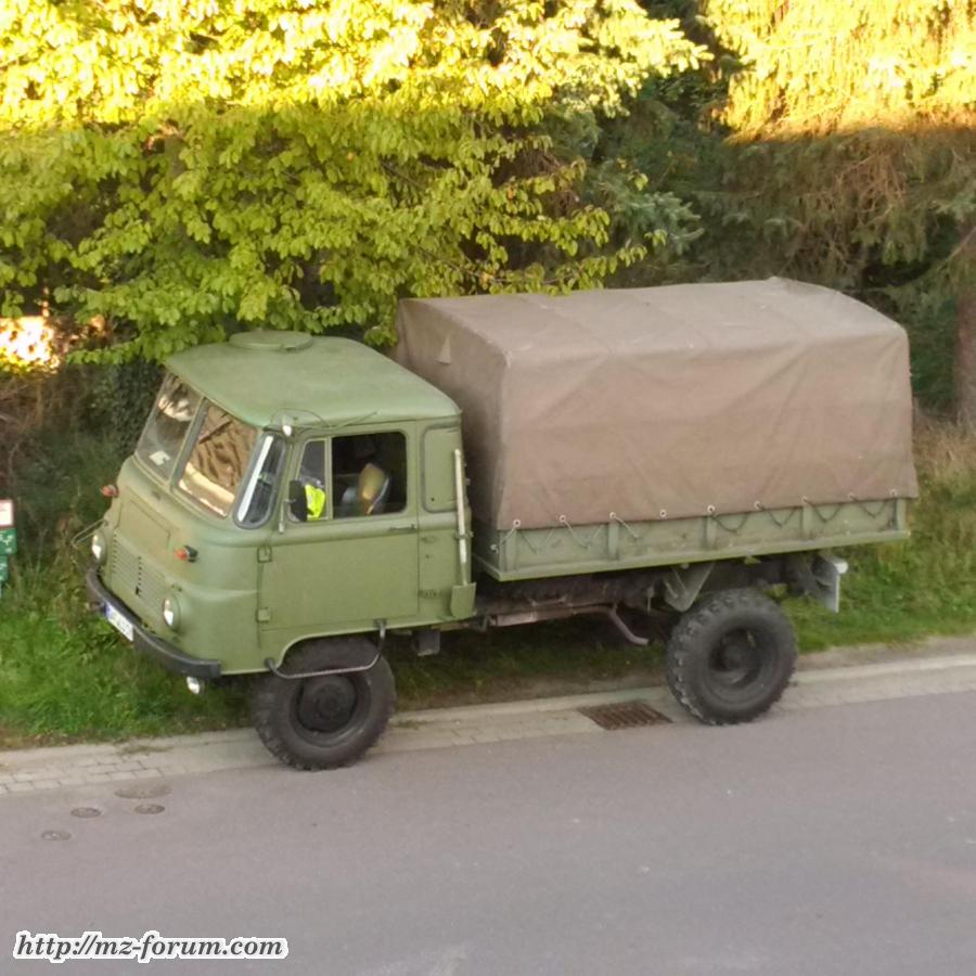 mein muli